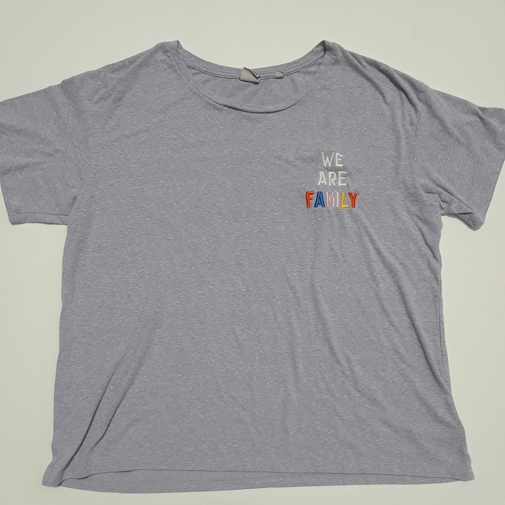 Junk Food We Are Family Gray T-Shirt